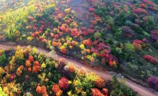 北京出发河北3日自驾游：太行五指山赏秋-漫步赤水湾古镇-西柏坡忆初心-柏坡温泉享惬意-推荐
