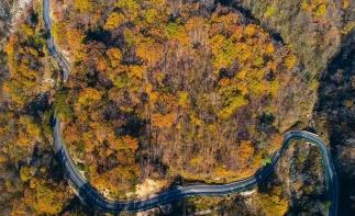 无锡出发安徽大别山4日自驾游：【罗田秋色】甜柿第一村錾字石村-九资河水上红叶-马丁公路4日游-推荐