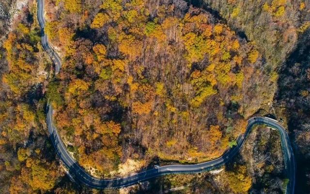 无锡出发安徽大别山4日自驾游：【罗田秋色】甜柿第一村錾字石村-九资河水上红叶-马丁公路4日游