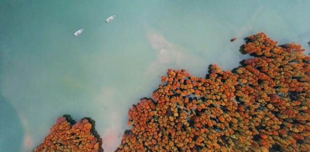 无锡出发宁波赏秋2日自驾游：耐人寻味的唐诗之路，醉美秋色四明山水2日自驾游