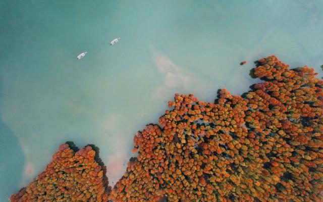 无锡出发宁波赏秋2日自驾游：耐人寻味的唐诗之路，醉美秋色四明山水2日自驾游