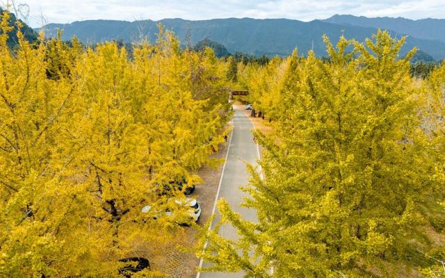 广东出发广西4日自驾游：【桂北赏秋】海洋乡银杏-乌桕滩-恭城万亩月柿林-桂海晴岚桂北美食4日游