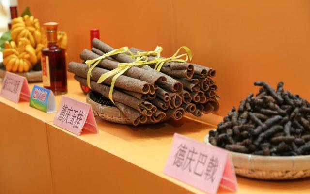 珠三角出发德庆2日自驾游：探秘世界上最贵的树皮源头德庆肉桂-巴戟-皇帝贡柑2日游