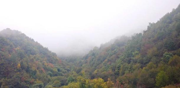 重庆出发汉中3日自驾游：秦岭隧道-最美古道秘境公路秦巴古道-西方沟挂壁天路-乐活城3日游-大自驾网