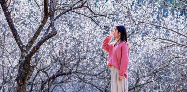 中山出发云浮2日自驾游：禅都新兴天露山赏梅-禅域小镇火神节-国恩寺祈福2天游