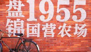 北京出发辽宁4日自驾游：盘锦赶国营农场大集办年货-朝阳拍天鹅-访古寺-泡温泉体验辽西异域风情4日游-推荐