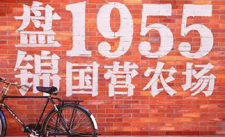 北京出发辽宁4日自驾游：盘锦赶国营农场大集办年货-朝阳拍天鹅-访古寺-泡温泉体验辽西异域风情4日游-推荐