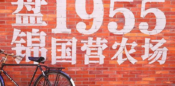 北京出发辽宁4日自驾游：盘锦赶国营农场大集办年货-朝阳拍天鹅-访古寺-泡温泉体验辽西异域风情4日游自驾游