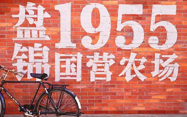 北京出发辽宁4日自驾游：盘锦赶国营农场大集办年货-朝阳拍天鹅-访古寺-泡温泉体验辽西异域风情4日游