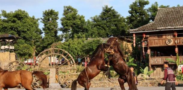 广东出发贺州柳州4日自驾游：【广西过大年】富川-永福-融水梦呜苗寨-柳城么佬族乡-武宣古城4日游