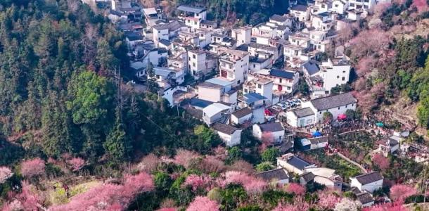 常州出发安徽皖南2日自驾游：打卡卖花渔村-呈坎古村-赏瞻淇鱼灯-徽州古城赏夜景自驾2日游自驾游