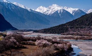 拉萨集结西藏林芝桃花6日自驾游：青稞未绿桃花已红，遇见桃花与冰川7天6晚落地自驾游-推荐