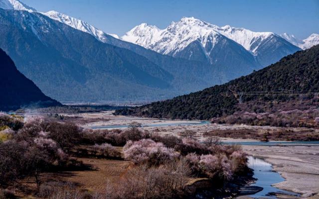 拉萨集结西藏林芝桃花6日自驾游：青稞未绿桃花已红，遇见桃花与冰川7天6晚落地自驾游