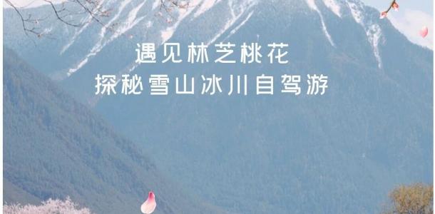 成都出发西藏桃花节18日自驾游：【藏地花开】遇见林芝桃花-探秘雪山冰川-川进中出18天有