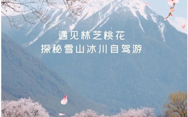 成都出发西藏桃花节18日自驾游：【藏地花开】遇见林芝桃花-探秘雪山冰川-川进中出18天有