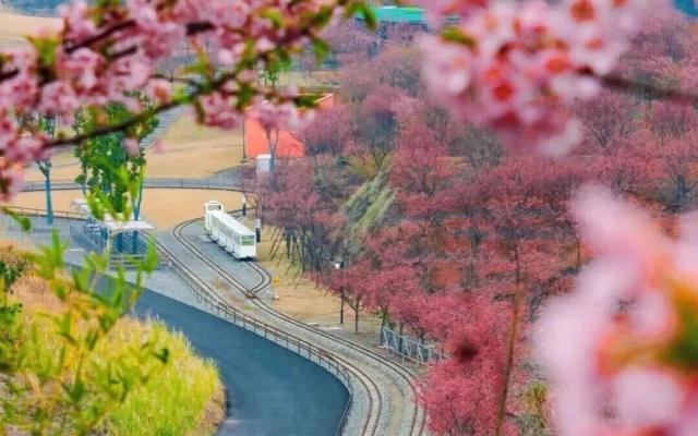 常州出发周末皖浙3日自驾游：穿越徽州天路-徽州古城-千岛湖中心湖游船-樱花岛自驾3日游