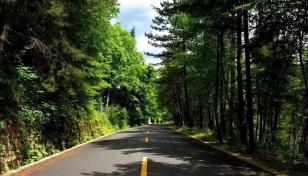 成都出发汉中5日自驾游：【秦岭寻宝】太洋公路-野生朱鹮-兴汉胜境-秦岭四宝5日自驾游-推荐