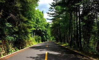 成都出发汉中5日自驾游：【秦岭寻宝】太洋公路-野生朱鹮-兴汉胜境-秦岭四宝5日自驾游-推荐