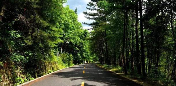 成都出发汉中5日自驾游：【秦岭寻宝】太洋公路-野生朱鹮-兴汉胜境-秦岭四宝5日自驾游