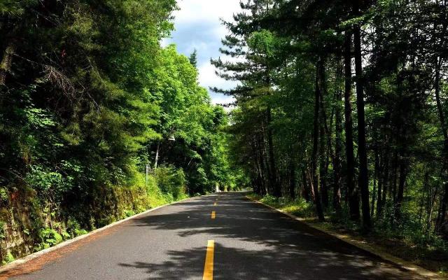 成都出发汉中5日自驾游：【秦岭寻宝】太洋公路-野生朱鹮-兴汉胜境-秦岭四宝5日自驾游