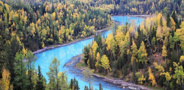 乌市集合新疆北疆9日自驾游：可可托海-喀纳斯-禾木-魔鬼城-赛里木湖9日自驾游自驾游