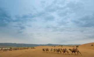 四川出发西北宁夏青海8日自驾：沙坡头-青海湖-坎布拉-甘南草原8日自驾游-推荐