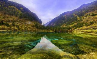 成都出发川西6日自驾：童话世界九寨沟丨人间瑶池黄龙丨最近的遥远达古冰川丨层林尽染毕棚沟6日自驾游-推荐