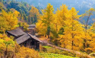 广东出发探访广西桂林海洋乡童话世界-龙脊梯田休闲3天自驾游-推荐