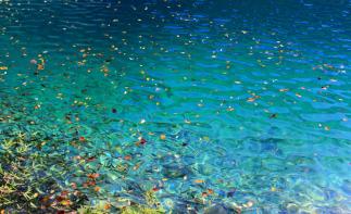 成都出发川西5日自驾：九寨沟-黄龙-达古冰川5日自驾游-推荐