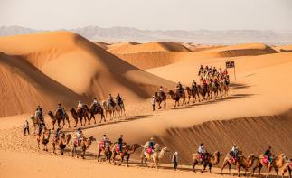 成都出发西北8日自驾：【沙海情歌】青海湖-茶卡天空盐湖-沙坡头-中国版“66号公路”8日自驾游-推荐