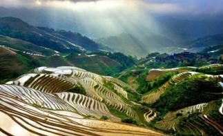 广东出发广西桂林阳朔5日自驾游：银子岩-兴坪漓江-龙脊梯田-象鼻山5天自驾游-推荐