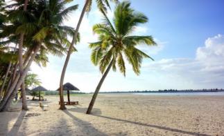 广东出发6日海南环岛自驾游：海口-博鳌-三亚西岛-儋州千年古盐田海南自驾游-推荐