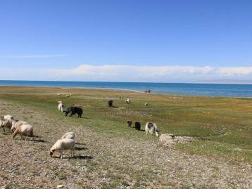 重庆出发西北7日自驾游：青海湖-茶卡盐湖-坎布拉-米拉日巴佛阁7日自驾游