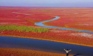 济南周边自驾游：黄河入海口-东营红地毯-冬枣采摘2日周末体验活动-推荐