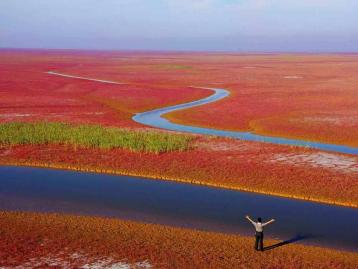 济南周边自驾游：黄河入海口-东营红地毯-冬枣采摘2日周末体验活动
