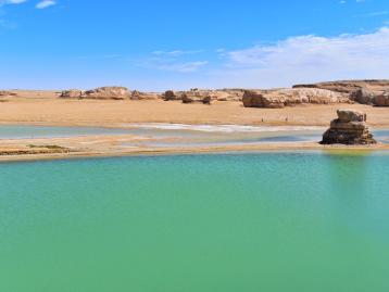 西宁集合青海甘肃内蒙11日西北自驾游：青海湖-额济纳-敦煌-大柴旦自驾游赏世界级秋景
