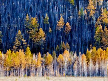 盘锦集合东北/俄罗斯自驾游：盘锦红地毯-五大莲池-漠河北极村-俄罗斯15日赏秋之旅