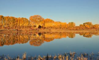 重庆出发/内蒙西北10日自驾游：张掖-怪树林-额济纳胡杨林-巴彦淖尔-响沙湾-鄂尔多斯-安塞-汉中1-推荐