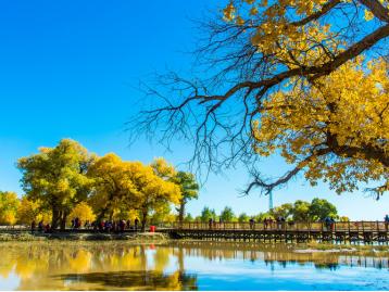 重庆出发内蒙/西北8日自驾游：额济纳胡杨林-居延海-银川-安塞-汉中8日自驾之旅