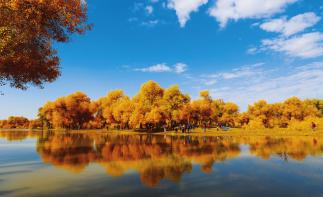 济南出发西北11日自驾游：额济纳胡杨林-大柴旦翡翠湖-茶卡盐湖11日青甘大环线-推荐