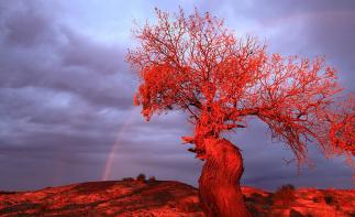 西安出发柴达木盆地6日自驾游：胡杨林-水上雅丹-九层妖塔古墓群探秘之旅-推荐