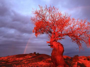 西安出发柴达木盆地6日自驾游：胡杨林-水上雅丹-九层妖塔古墓群探秘之旅