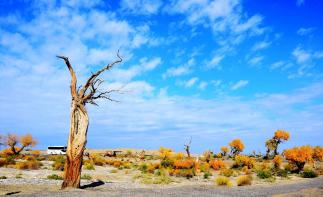 广东出发阿拉善双飞8日自驾游（重复需要覆盖）-推荐