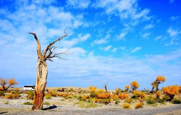 广东出发阿拉善双飞8日自驾游（重复需要覆盖）-游推荐