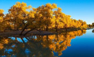 成都出发内蒙额济纳8日自驾游：胡杨林-张掖丹霞-戈壁风光西北8日自驾游-推荐