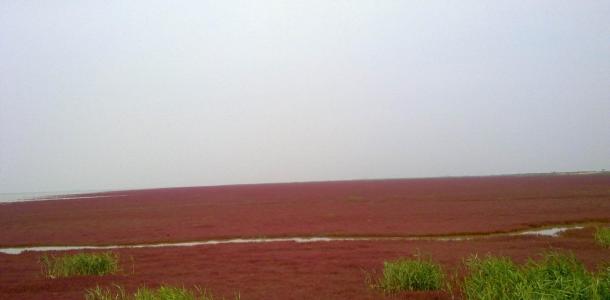 北京出发山东自驾游：朱家裕风景区-黄河口生态旅游区-雪野湖3日自驾之旅-大自驾网