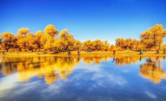 山东出发额济纳7日自驾游：额济纳胡杨林-掖丹霞-老牛湾-沙坡头赏秋游-推荐