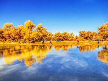 山东出发额济纳7日自驾游：额济纳胡杨林-掖丹霞-老牛湾-沙坡头赏秋游