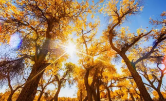 贵州出发内蒙额济纳9日自驾游：张掖七彩丹霞-额济纳胡杨林-居延海9日西北自驾游-推荐