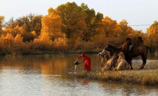 西安出发张掖额济纳7日自驾游：张掖丹霞地貌-额济纳旗胡杨-居延海7日自驾游-推荐